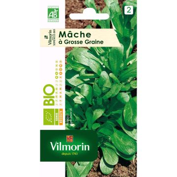 Canónigos Grão grosso biológico - Alface-da terra