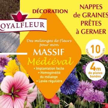 Mistura para canteiro medieval - Tapete