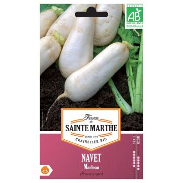 Nabo Marteau - Ferme de Sainte Marthe Bio