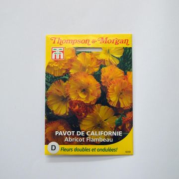Papoila-da-califórnia Apricot Flambeau em sementes
