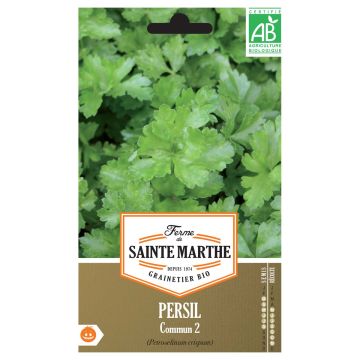 Salsa comum 2 - Ferme de Sainte Marthe Bio