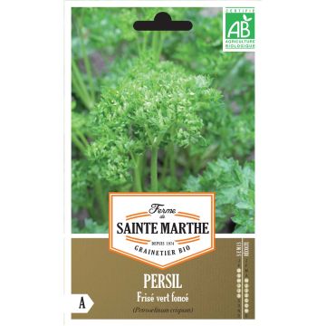 Salsa crespa verde escura - Ferme de Sainte Marthe Bio