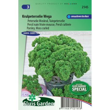 Salsa anã crespa Wega