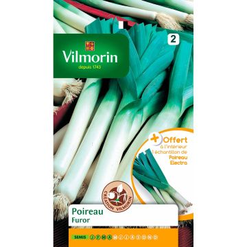 Alho francês Furor Vilmorin