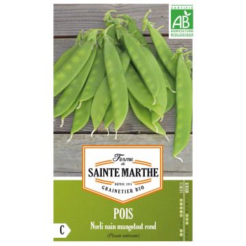 Ervilha anã Norli mangetout - Ferme de Sainte Marthe Bio