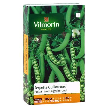 Ervilha Trepadeira Serpette Guilloteaux com Sementes Redondas Vilmorin