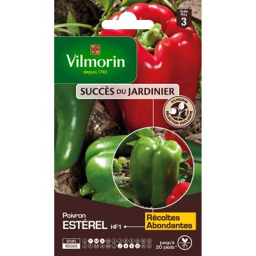 Pimento Estérel F1 Vilmorin
