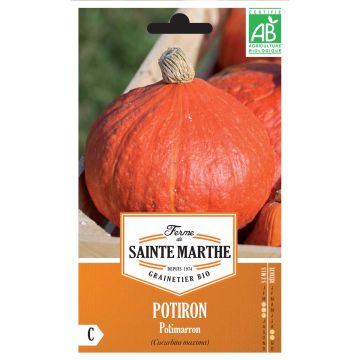 Abóbora Potimarron - Ferme de Sainte Marthe Bio
