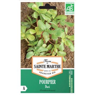 Beldroega dourada - Ferme de Sainte Marthe Bio