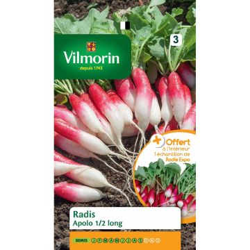 Rabanete Apolo Vilmorin