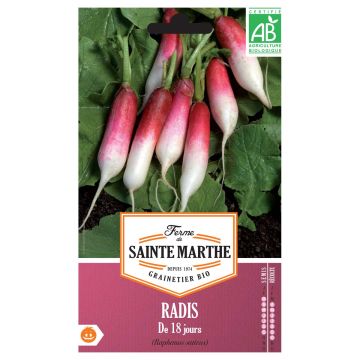 Rabanete de 18 Jours - Ferme de Sainte Marthe Bio