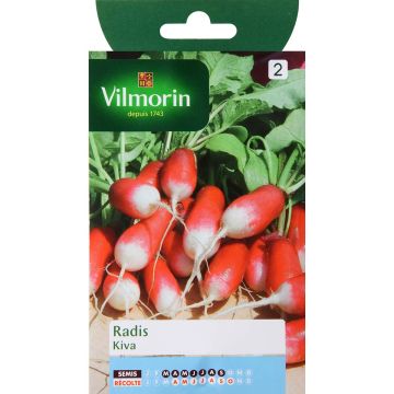 Rabanete Kiva Vilmorin