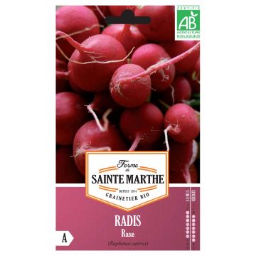 Rabanete Vermelho Redondo Raxe - Ferme de Sainte Marthe Bio
