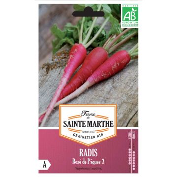 Rabanete Rosa da Páscoa 3 - Ferme de Sainte Marthe Bio