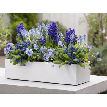 Coleção Primavera Céu & Mar