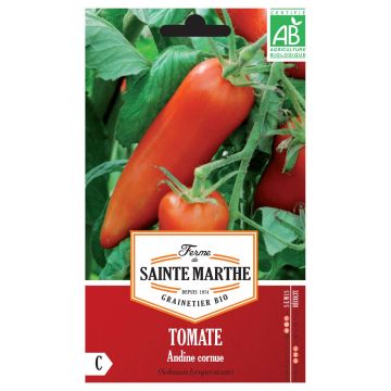 Tomate Cornue des Andes Bio - Ferme de Sainte Marthe
