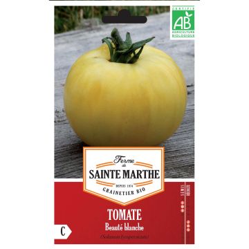 Tomate Beleza Branca Bio - Ferme de Sainte Marthe