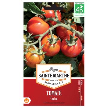 Tomate-cereja Bio - Ferme de Sainte Marthe
