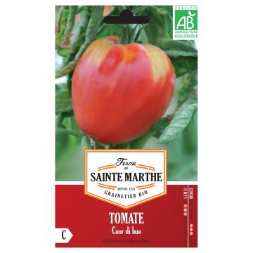 Tomate Coração de Boi Bio Ferme de Sainte Marthe