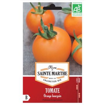 Tomate Orange Bourgoin Bio - Ferme de Sainte Marthe