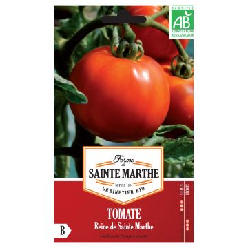 Tomate Rainha de Sainte-Marthe Bio - Ferme de Sainte Marthe
