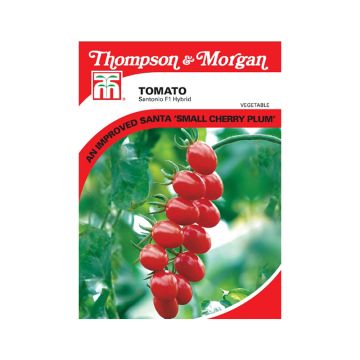 Tomate-cereja Santonio F1
