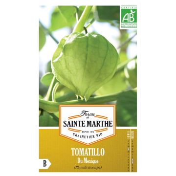Tomatillo Mexicano Bio - Ferme de Sainte Marthe