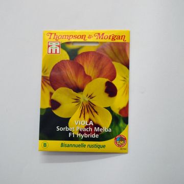 Viola cornuta Sorbet Peach Melba F1 Hybrid em sementes