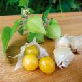 Sementes de Physalis