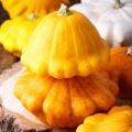 Sementes de abóbora pattypan